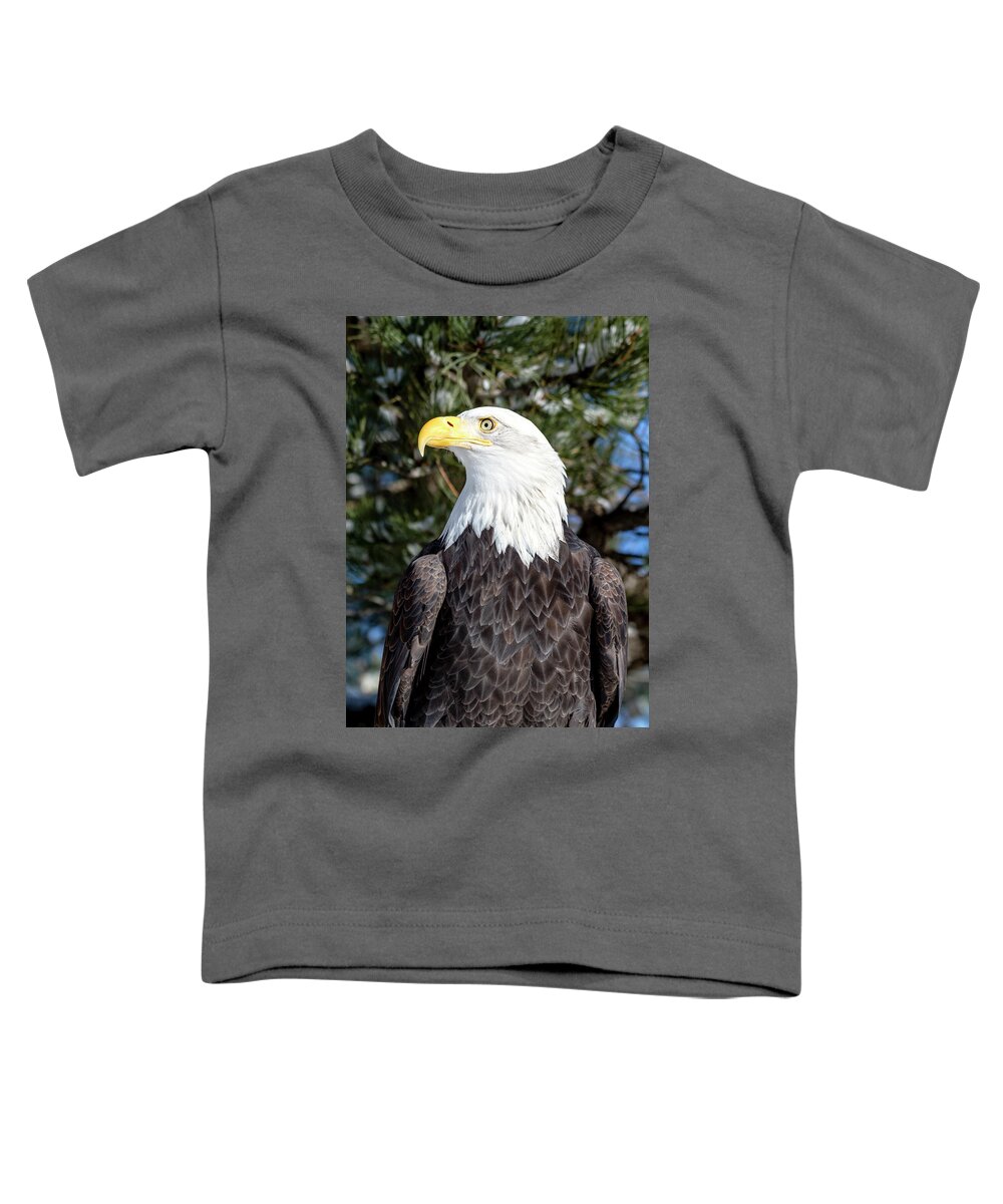 American Freedom Symbol Toddler T-Shirt featuring the photograph Bald Eagle In Tree by Teri Virbickis