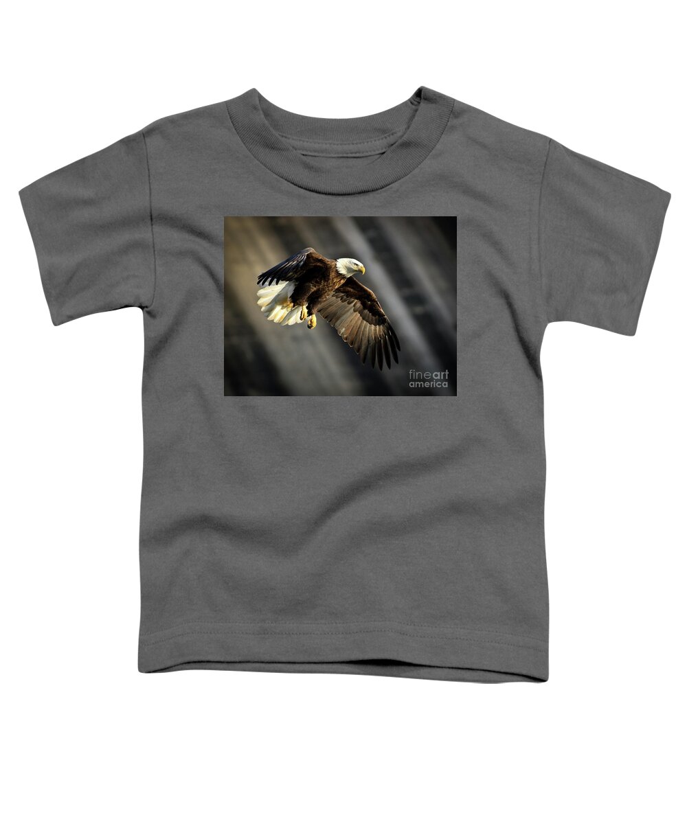 Bald Toddler T-Shirt featuring the photograph Bald Eagle Prepares to Dive by Douglas Stucky