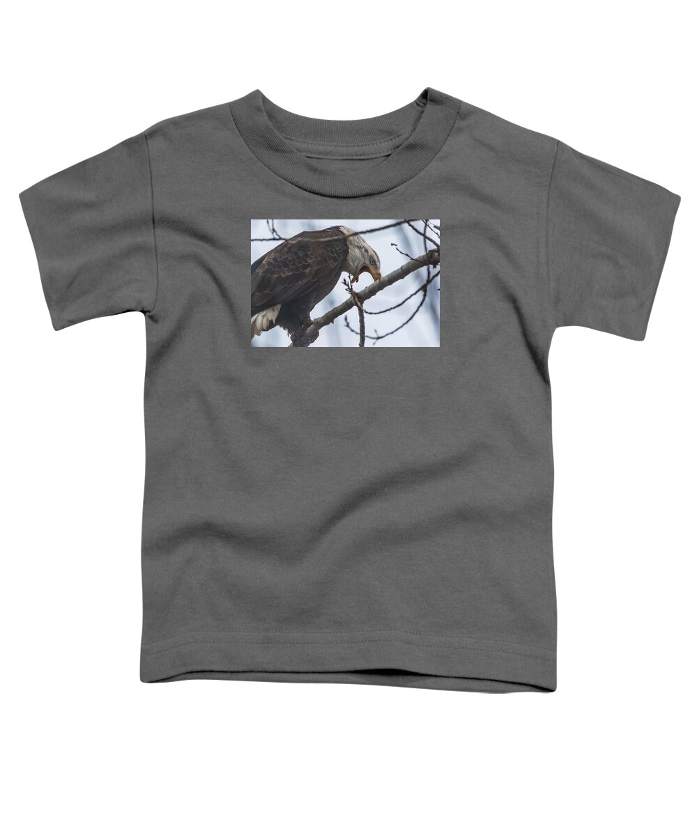 California Toddler T-Shirt featuring the photograph Bald Eagle Upset by Marc Crumpler