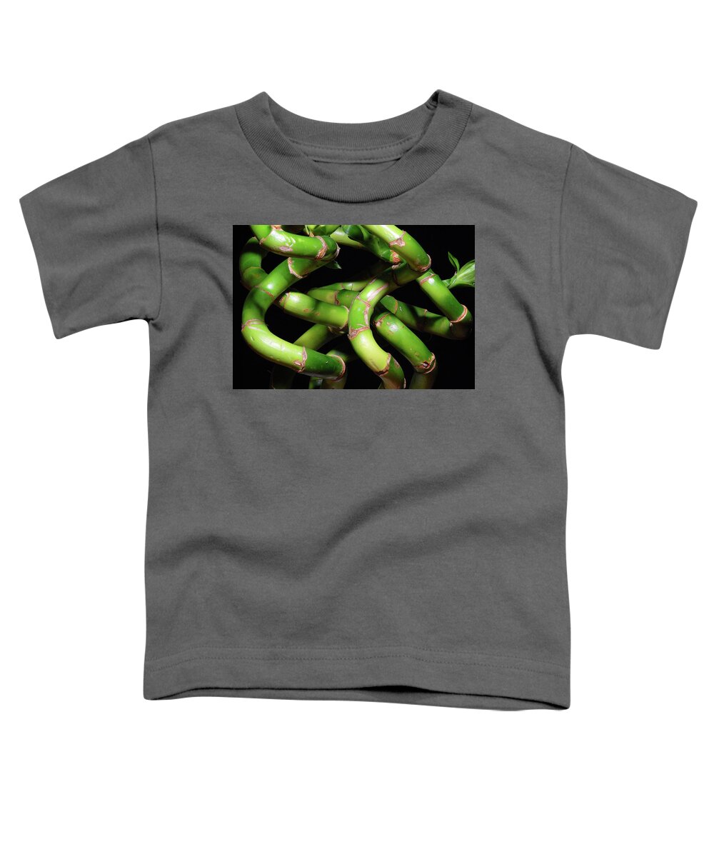 Bamboo Toddler T-Shirt featuring the photograph Bamboozle by Ted Keller