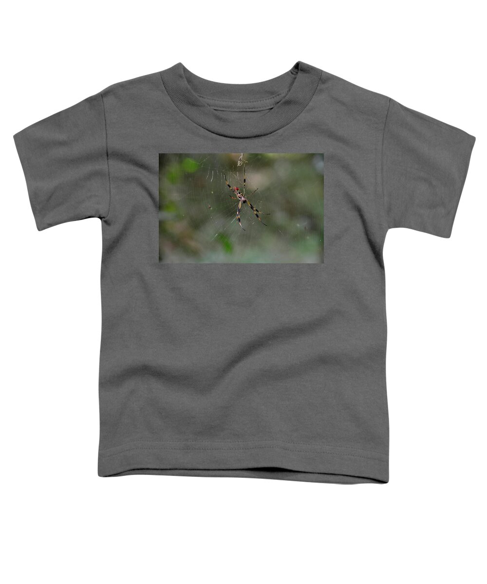 Banana Spider Toddler T-Shirt featuring the photograph Banana Spider Florida by Adrian De Leon Art and Photography