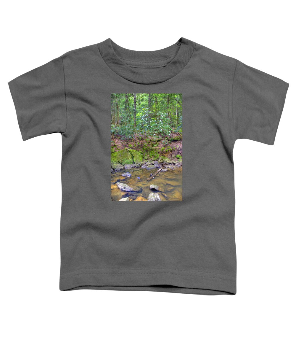 Water Toddler T-Shirt featuring the photograph Bark Camp Creek 13 by Sam Davis Johnson