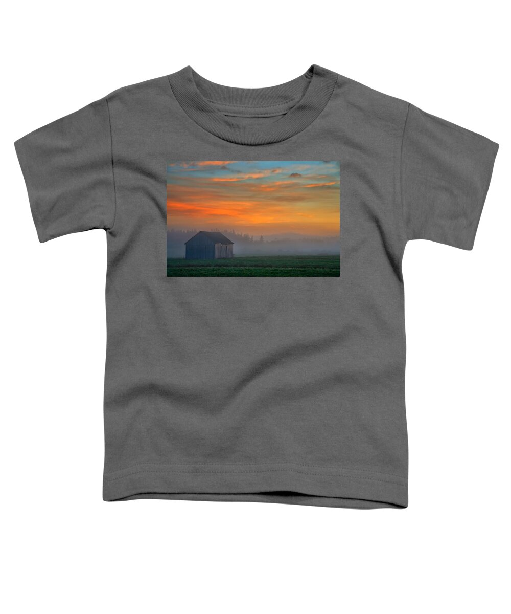 Dawn Toddler T-Shirt featuring the photograph Barn and Mist at Dawn by Irwin Barrett