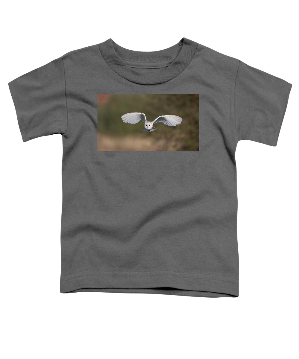 Barn Owl Toddler T-Shirt featuring the photograph Barn Owl Approaching by Pete Walkden