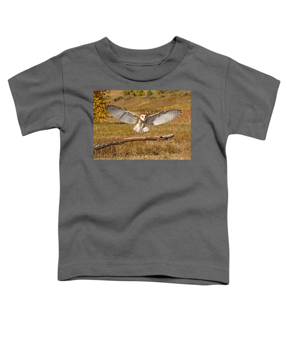 Barn Owl Toddler T-Shirt featuring the photograph Barn Owl Landing by Dawn Key