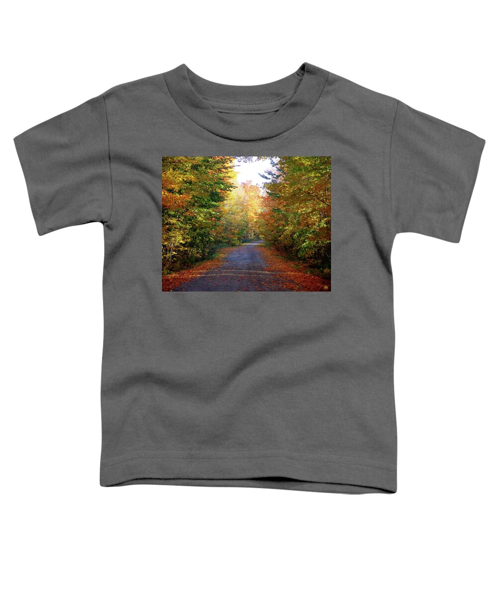 Barnes Road Toddler T-Shirt featuring the photograph Barnes Road - cropped by John Meader