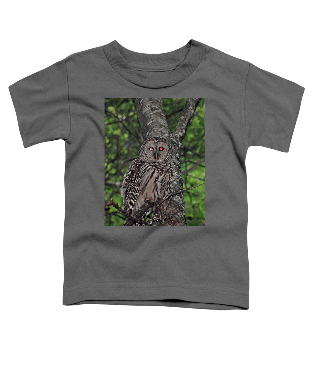 Owl Toddler T-Shirt featuring the photograph Barred Owl 3 by Glenn Gordon