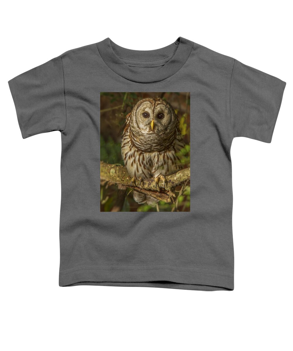 Cute Barred Owl Toddler T-Shirt featuring the photograph Barred Owl on the alert by Jean Noren