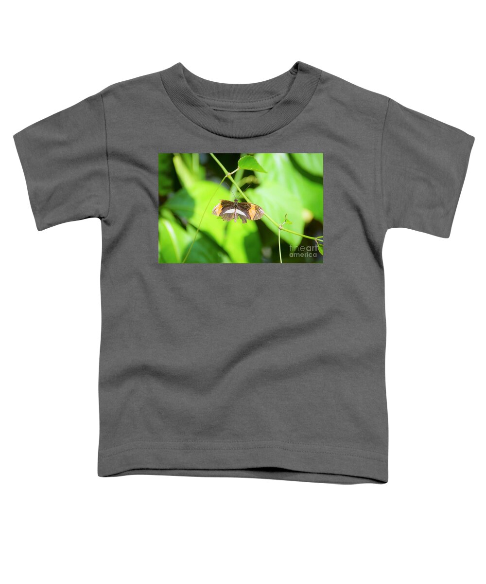 Cleveland Ohio Butterfly Toddler T-Shirt featuring the photograph Battle-worn Survivor by Merle Grenz
