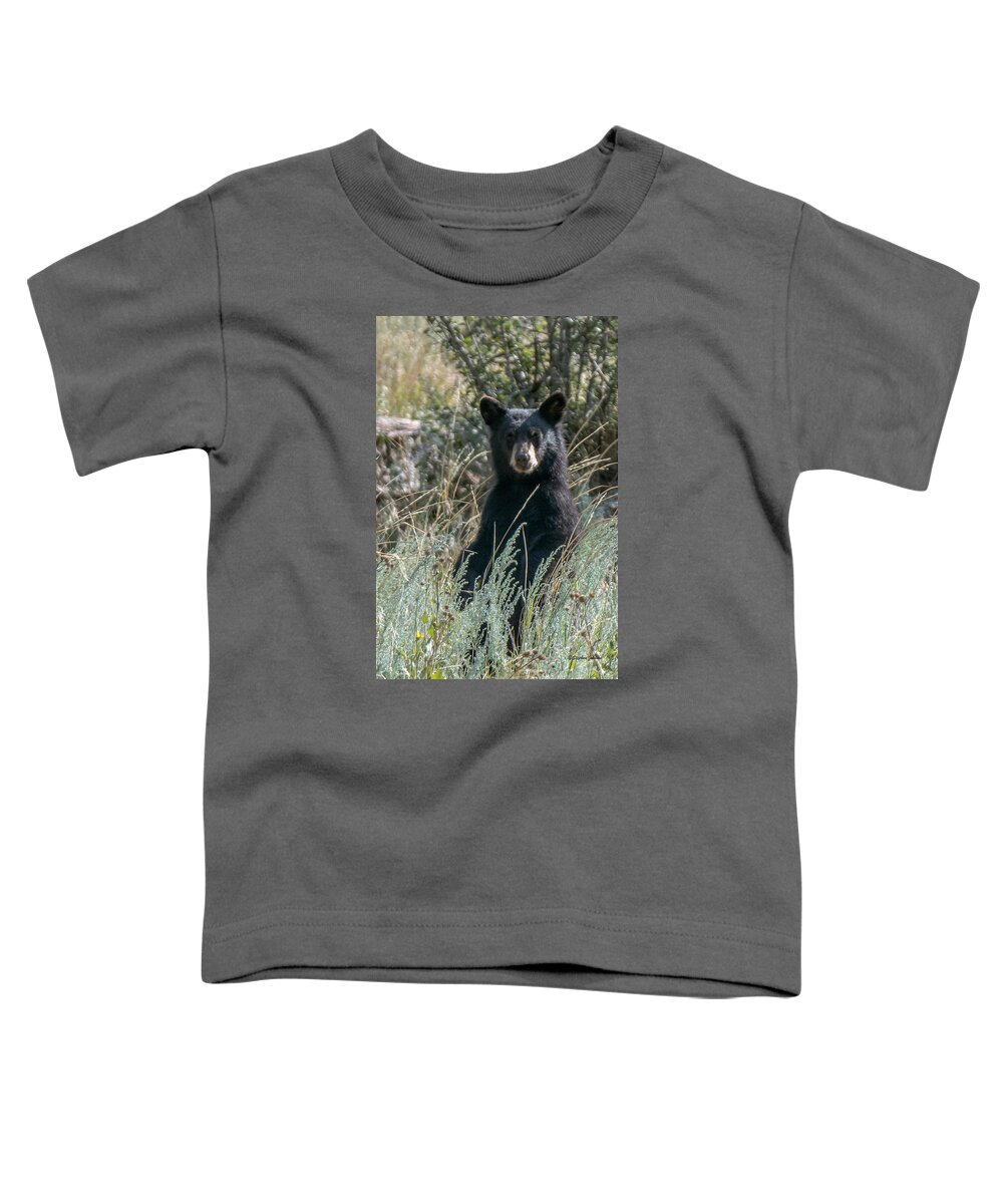 Black Bear Toddler T-Shirt featuring the photograph Bear Cub At Waterton Canyon by Stephen Johnson