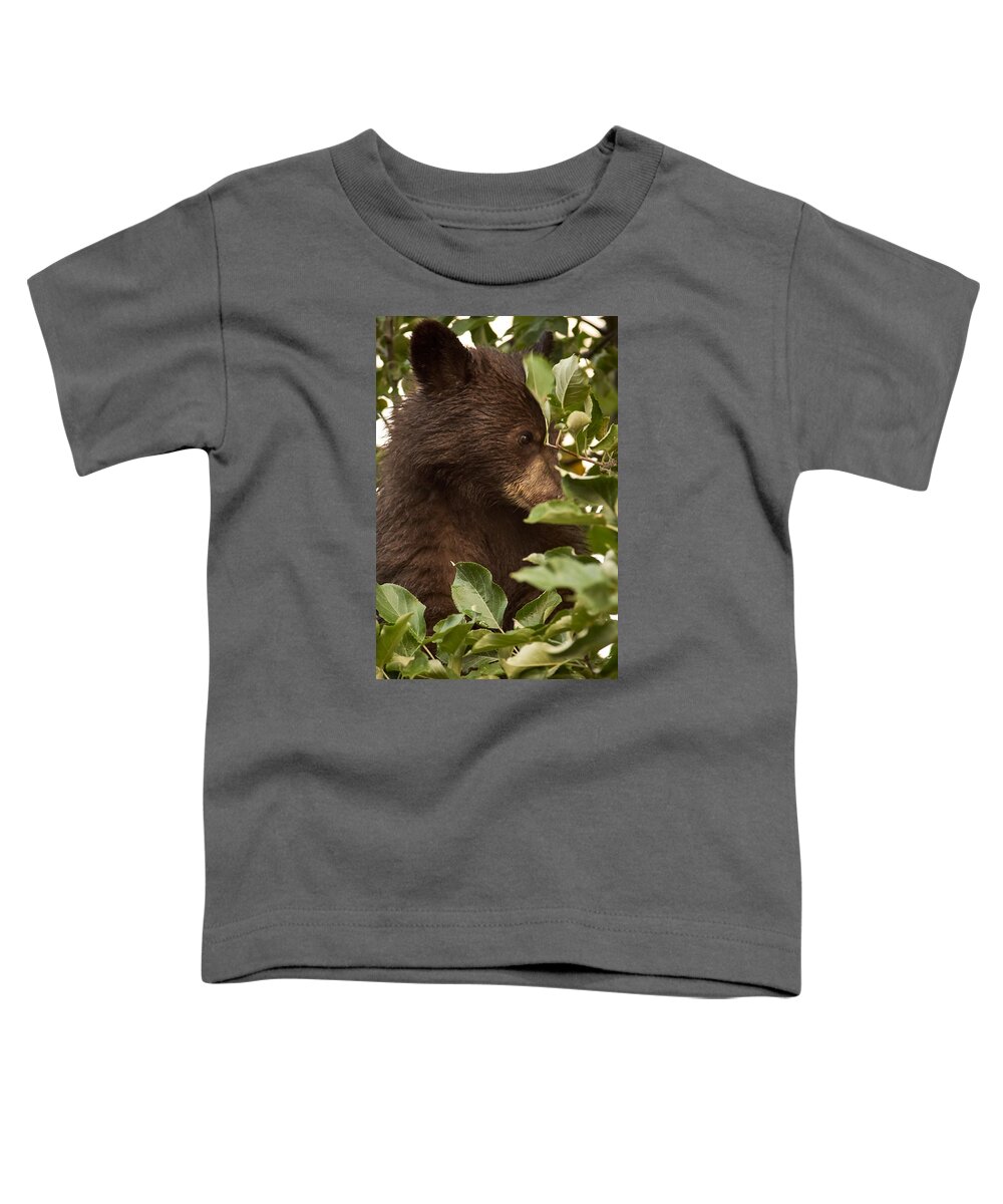 Black Bear Toddler T-Shirt featuring the photograph Bear Cub in Apple Tree3 by Loni Collins
