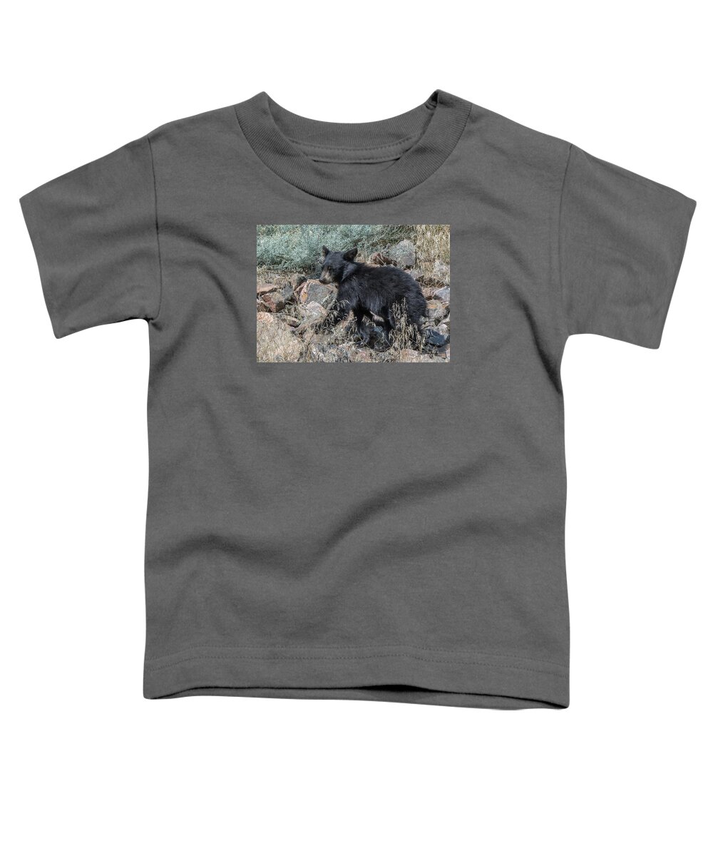 Black Bear Toddler T-Shirt featuring the photograph Bear Cub Walking by Stephen Johnson