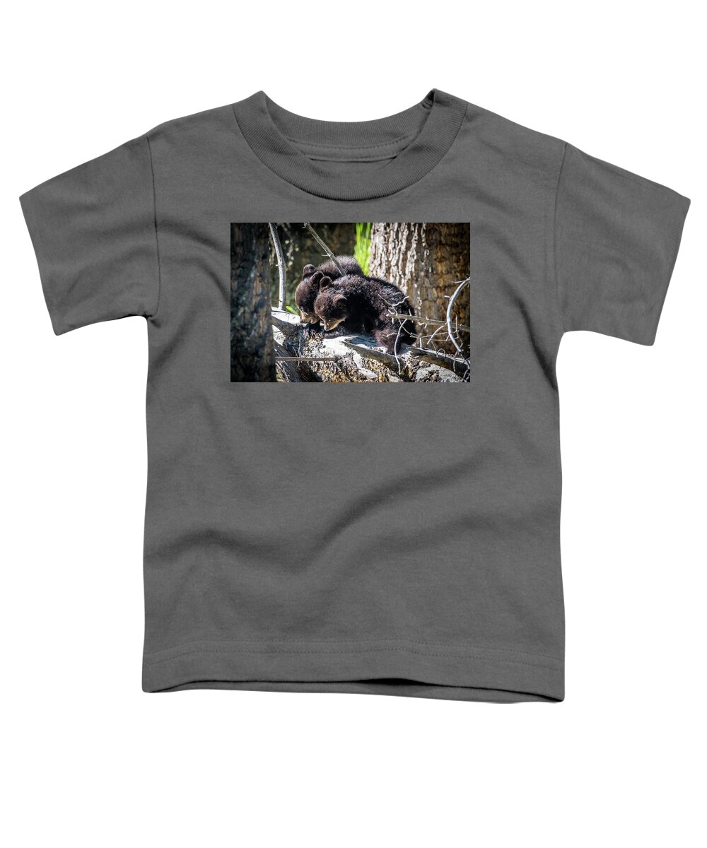 Black Bear Toddler T-Shirt featuring the photograph Bear Cubs by Paul Freidlund