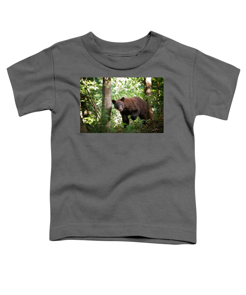 Wildlife Toddler T-Shirt featuring the photograph Bear in the Woods by Eilish Palmer