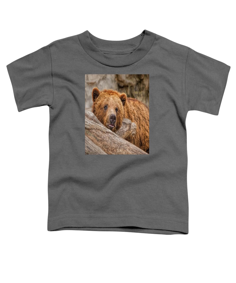 Nature Wear Toddler T-Shirt featuring the photograph Bear Nature Wear by LeeAnn McLaneGoetz McLaneGoetzStudioLLCcom