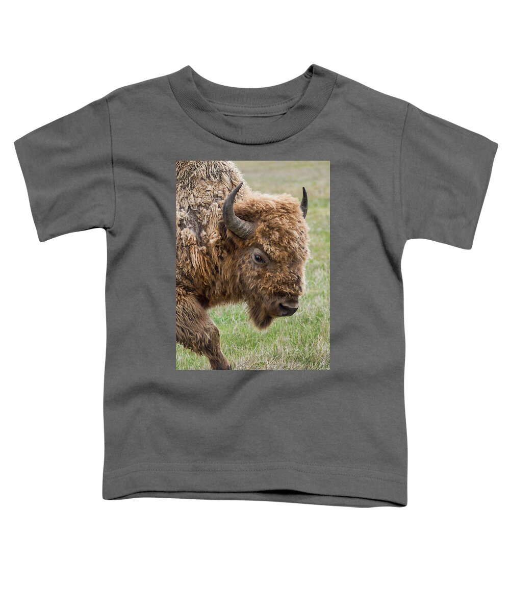 Bison Toddler T-Shirt featuring the photograph The Beast by Dan McGeorge