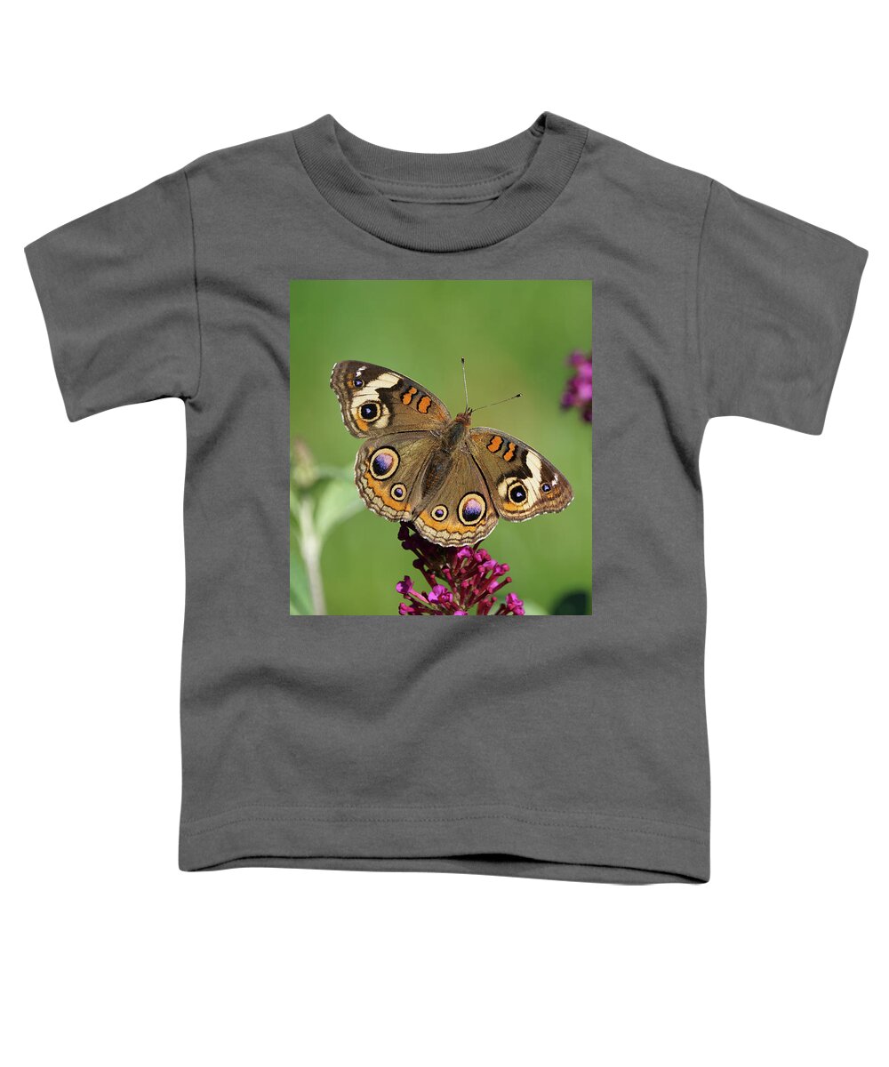 Butterfly Toddler T-Shirt featuring the photograph Beautiful Buckeye Butterfly by Robert E Alter Reflections of Infinity