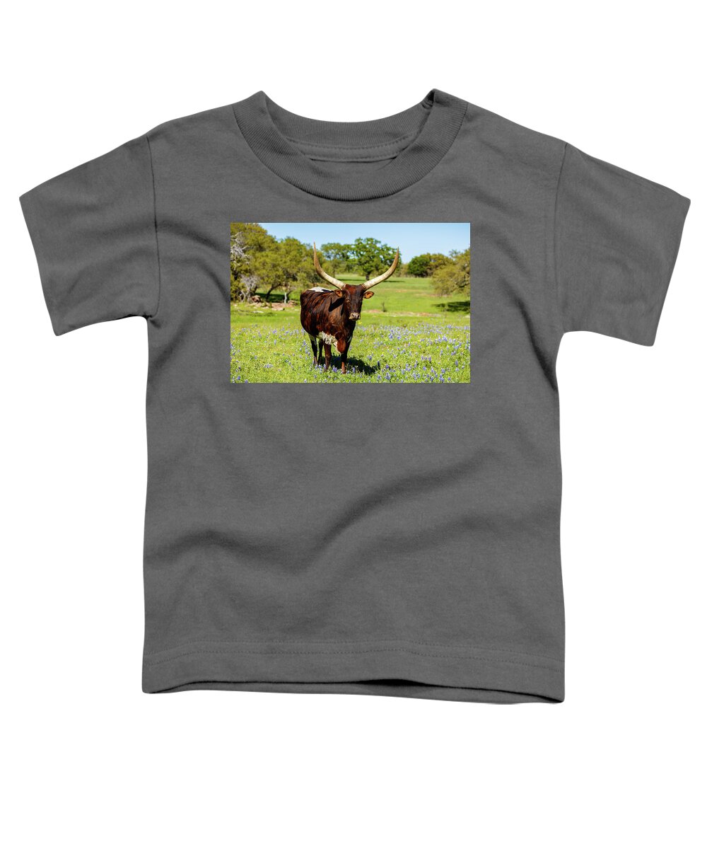 African Breed Toddler T-Shirt featuring the photograph Beautiful longhorn bull by Raul Rodriguez