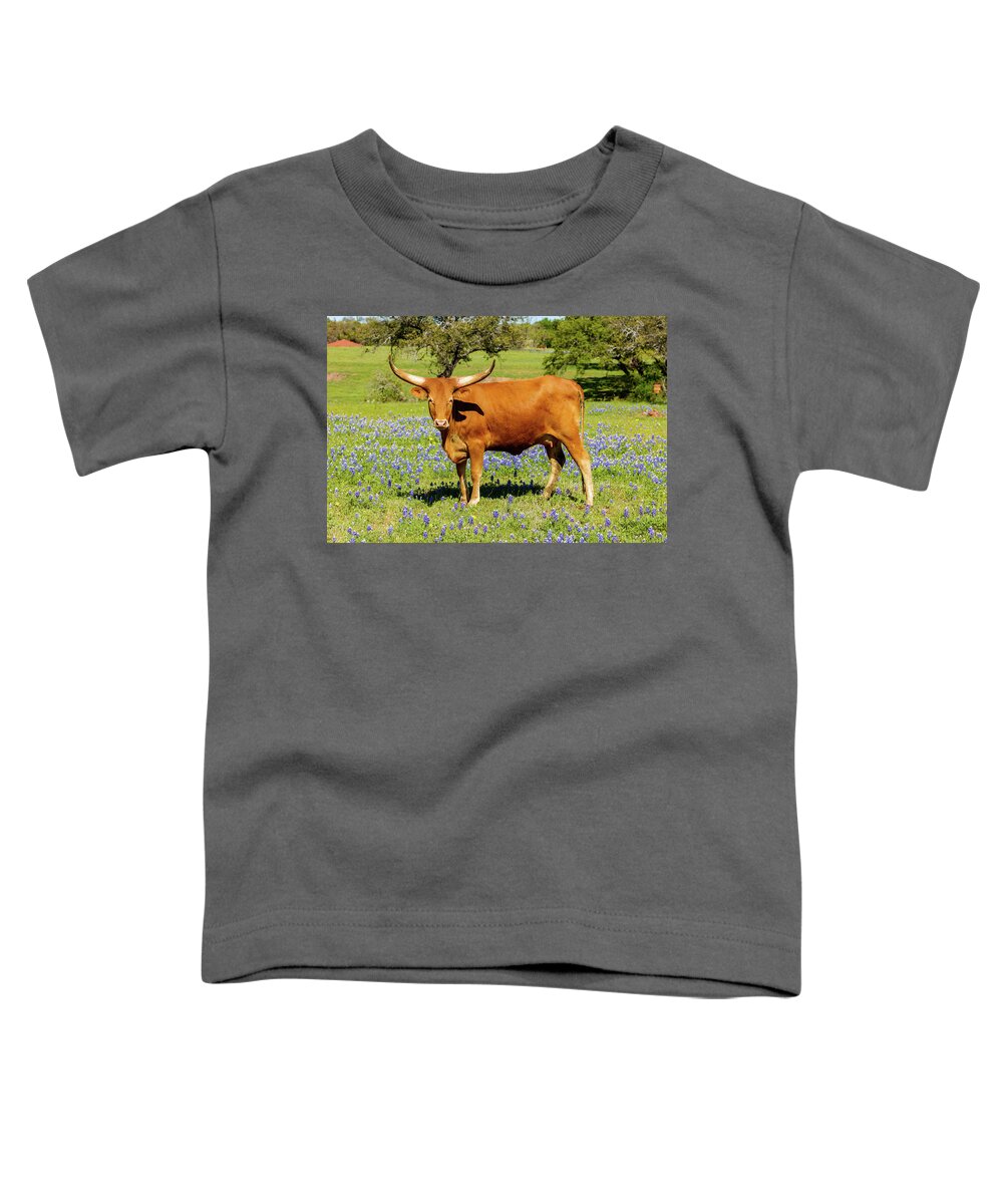 African Breed Toddler T-Shirt featuring the photograph Beautiful longhorn cow by Raul Rodriguez