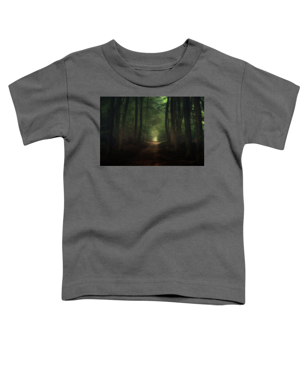 Autumn Toddler T-Shirt featuring the photograph Beautiful morning in Speulderbos forest by Tim Abeln