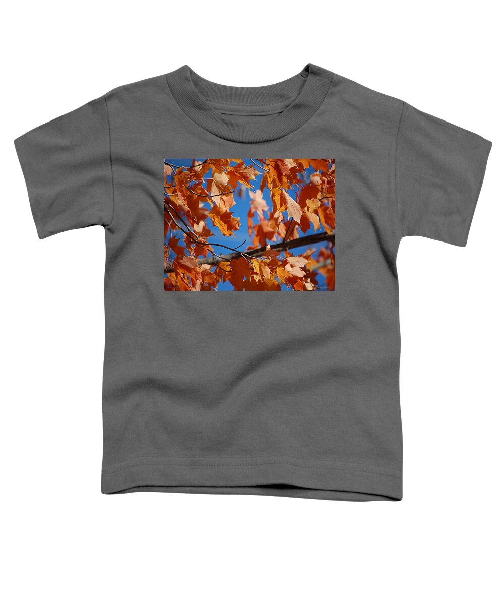 Leaves Toddler T-Shirt featuring the photograph Beauty in Nature by Robert Meanor