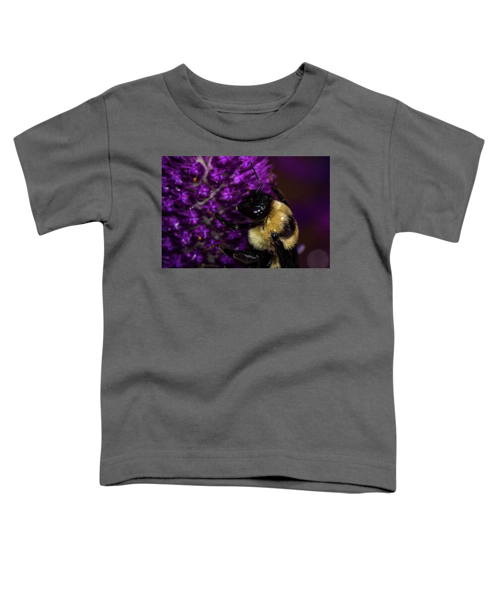 Jay Stockhaus Toddler T-Shirt featuring the photograph Bee and Purple Flower 2 by Jay Stockhaus