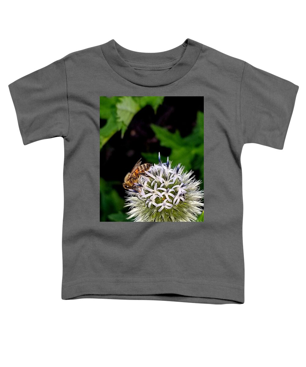 Sea Toddler T-Shirt featuring the photograph Beeing seen by Michael Graham