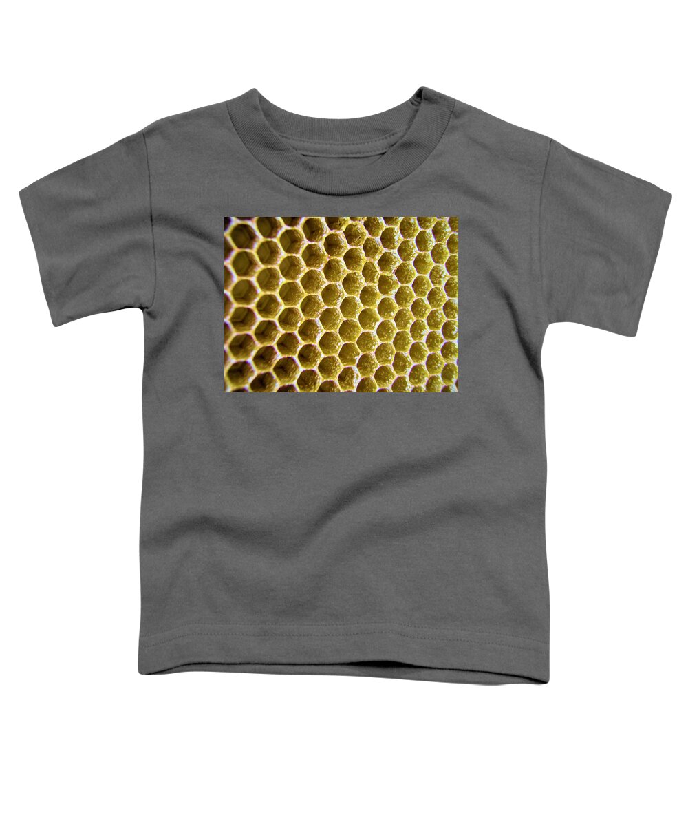 Honey Toddler T-Shirt featuring the photograph Bee's Home by Nicole Angell