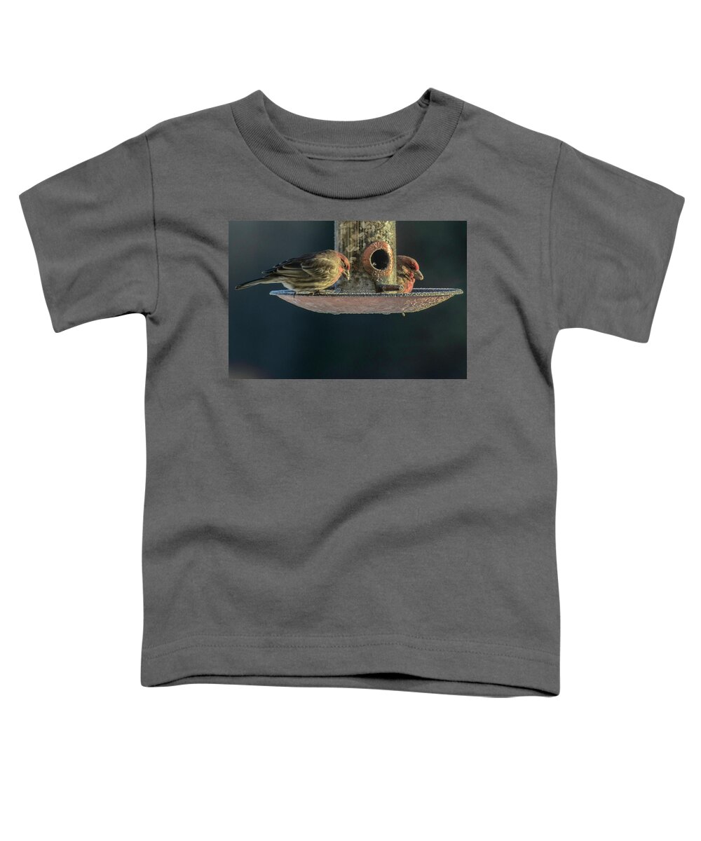  Toddler T-Shirt featuring the photograph Below Zero.... by Paul Vitko