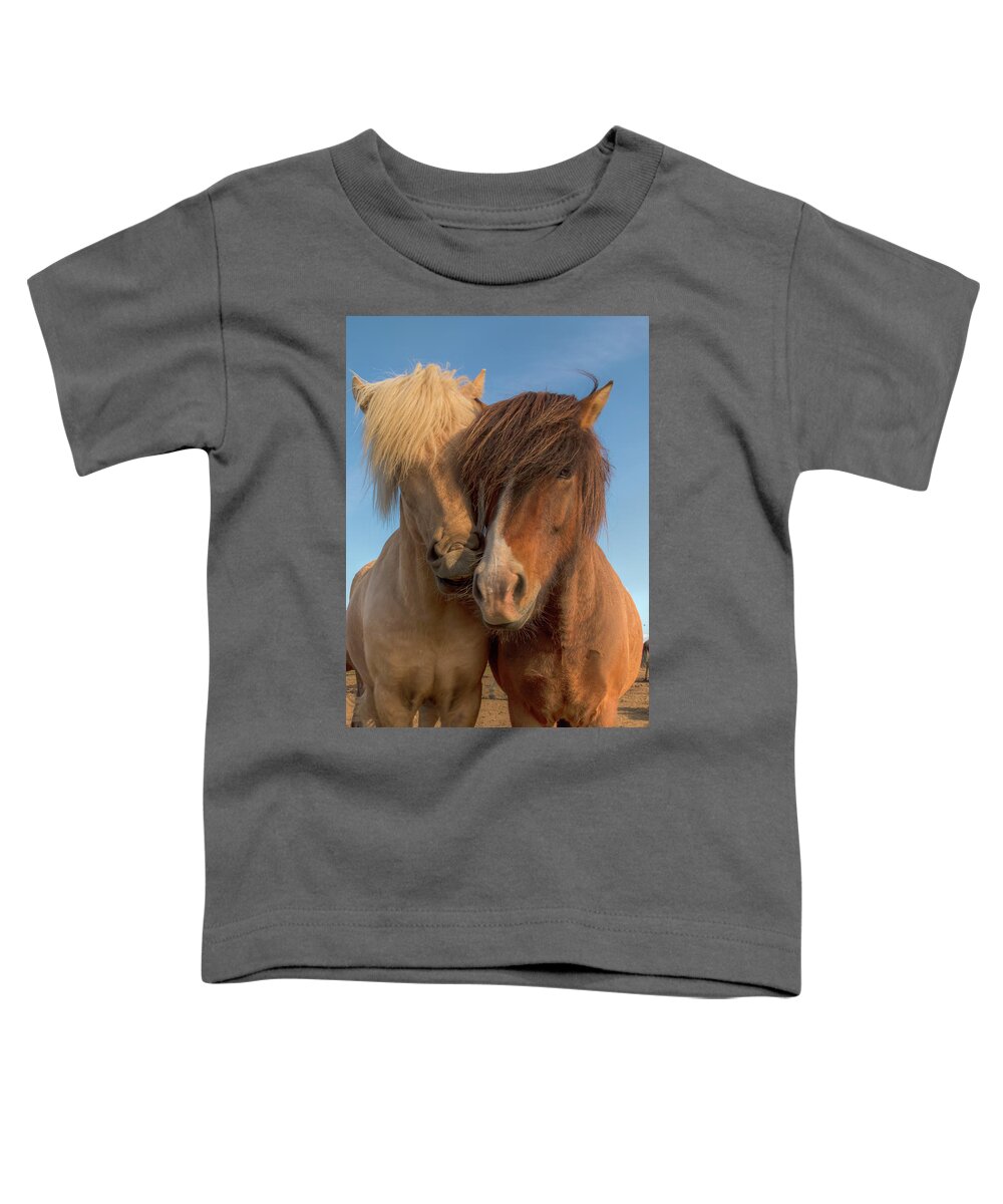 Icelandic Horse Toddler T-Shirt featuring the photograph Best Buddies 0643 by Kristina Rinell