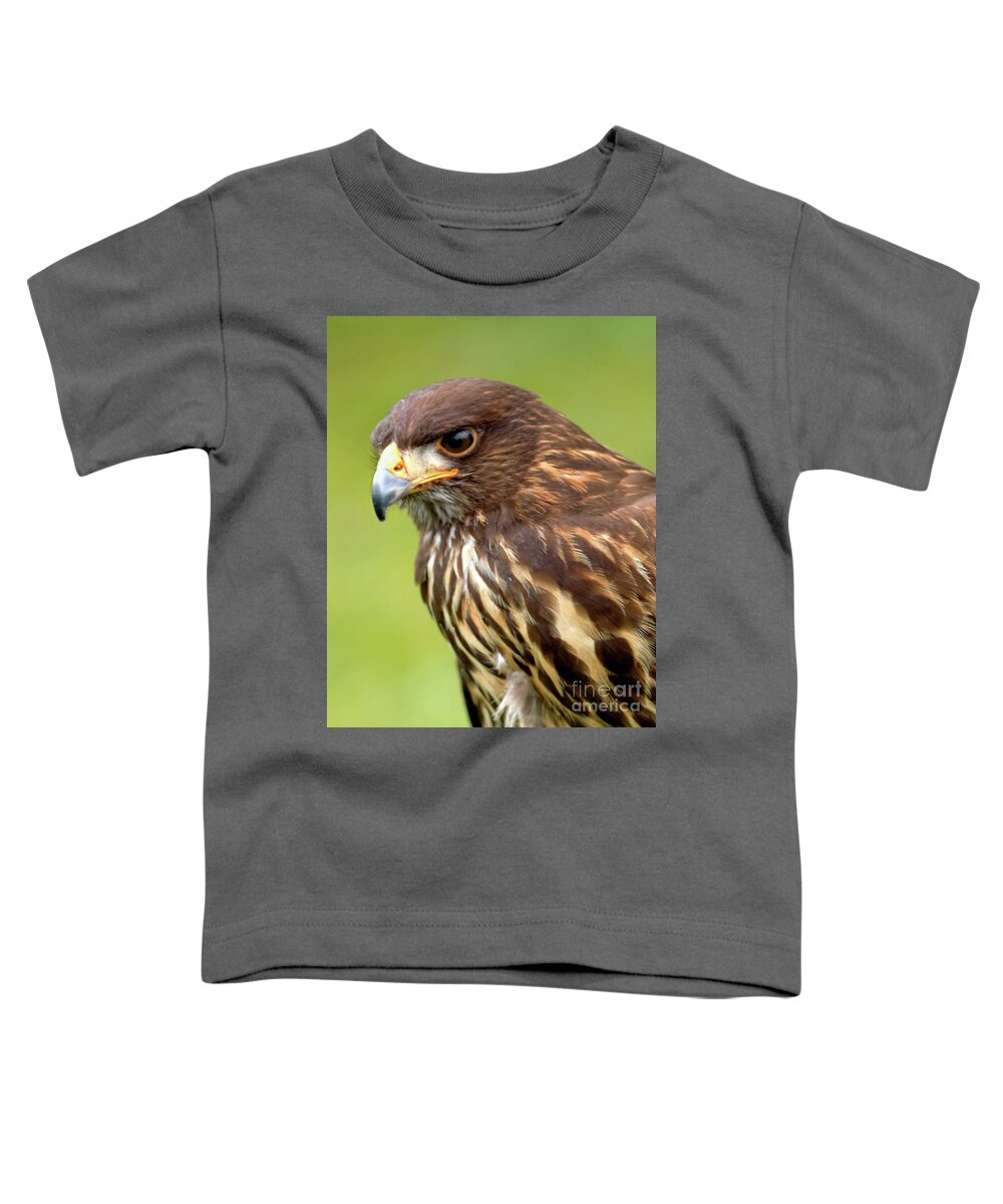 Bird Toddler T-Shirt featuring the photograph Beware The Predator by Stephen Melia