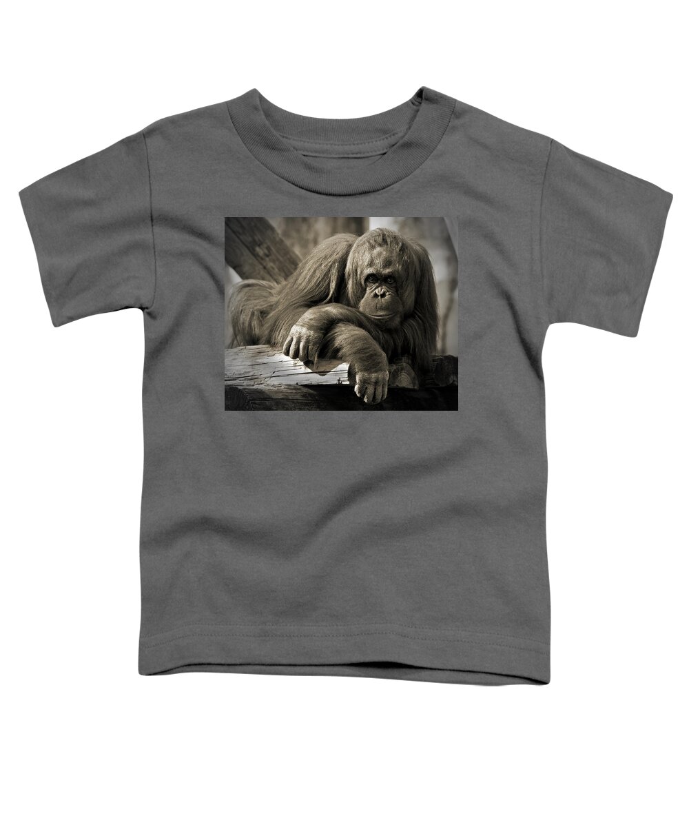 Orangutang Toddler T-Shirt featuring the photograph Big Hands II by Steven Sparks