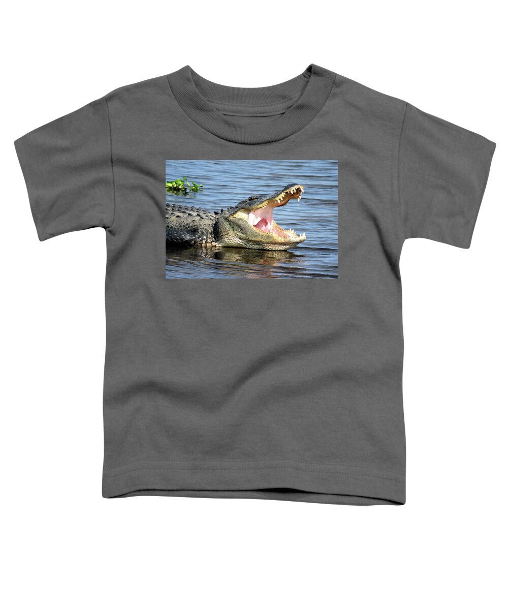 Alligator Toddler T-Shirt featuring the photograph Big Mouth by Rosalie Scanlon