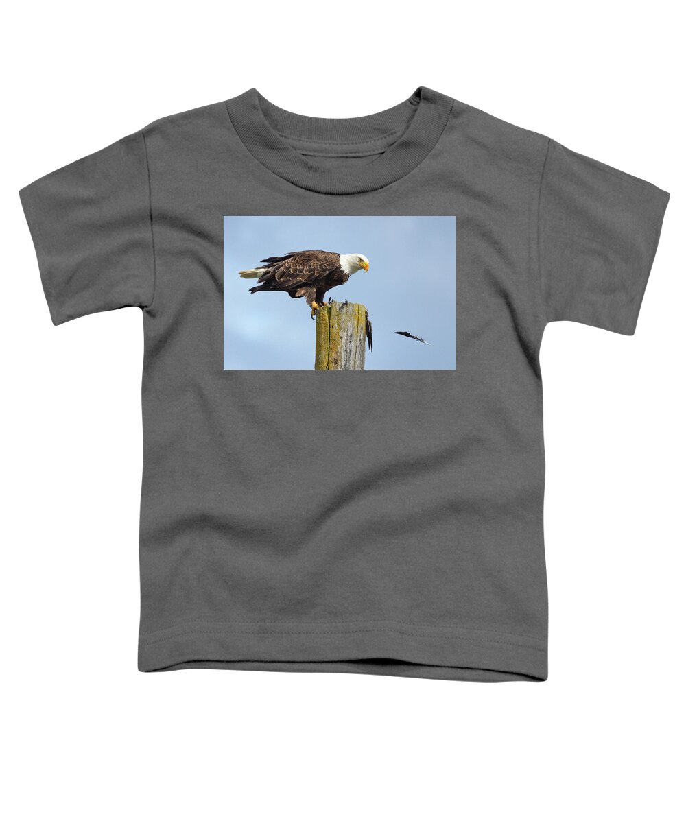 Eagle Toddler T-Shirt featuring the photograph Bird Of A Feather by Joy McAdams