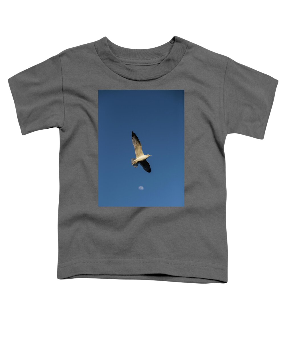 Bird Toddler T-Shirt featuring the photograph Bird Over The Moon by Jason Hughes
