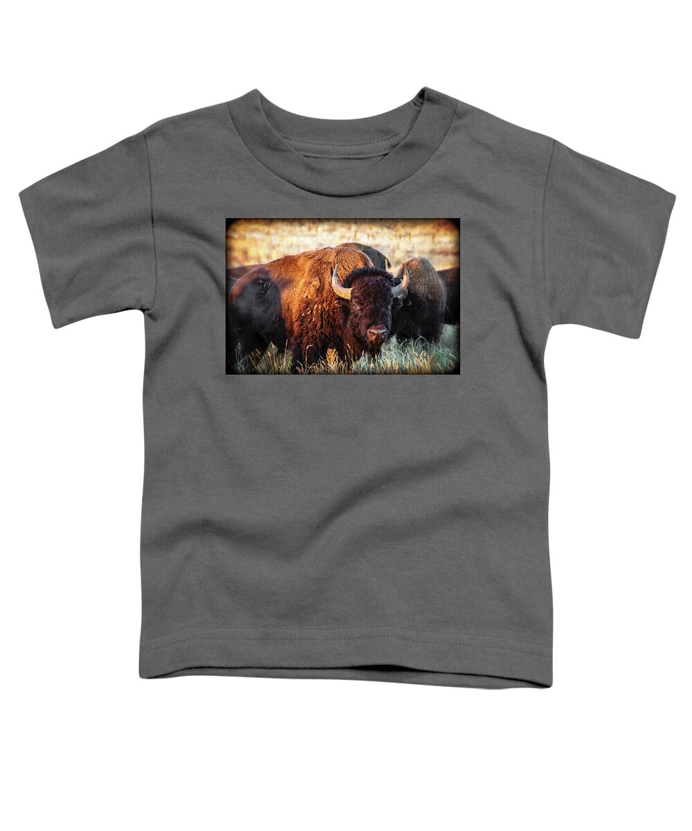 Animals Toddler T-Shirt featuring the photograph Bison #2 by John Strong