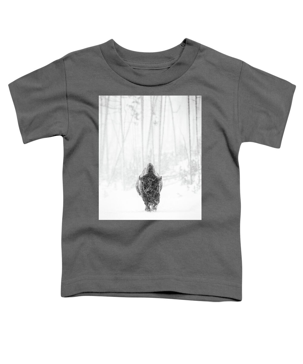 American Bison Toddler T-Shirt featuring the photograph Bison Bull in Snowstorm 2 by Max Waugh