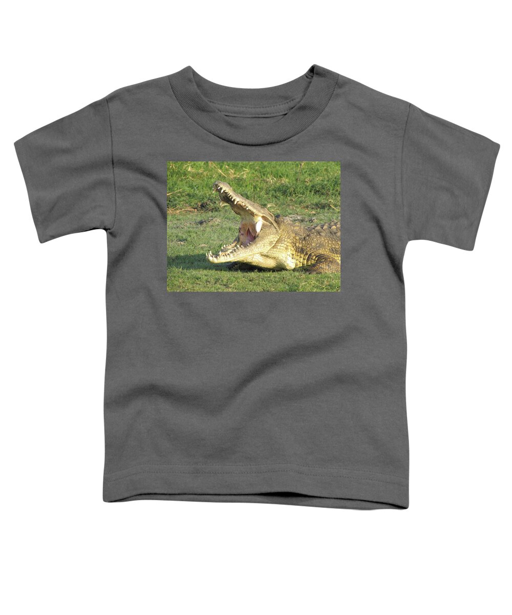 Crocodile Toddler T-Shirt featuring the photograph Bite Me by David Bader