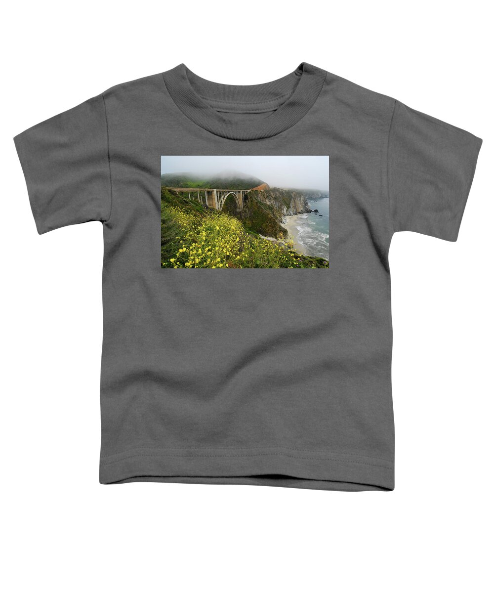 Bixby Bridge Toddler T-Shirt featuring the photograph Bixby Bridge by Harry Spitz