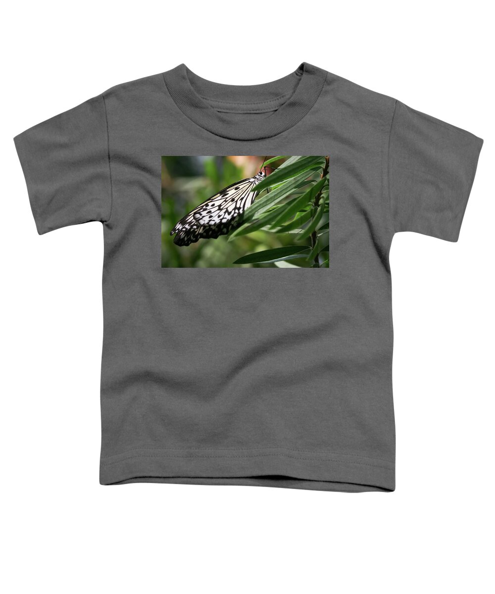 Idea Leuconoe Toddler T-Shirt featuring the photograph Black and White Butterfly - by Julie Weber
