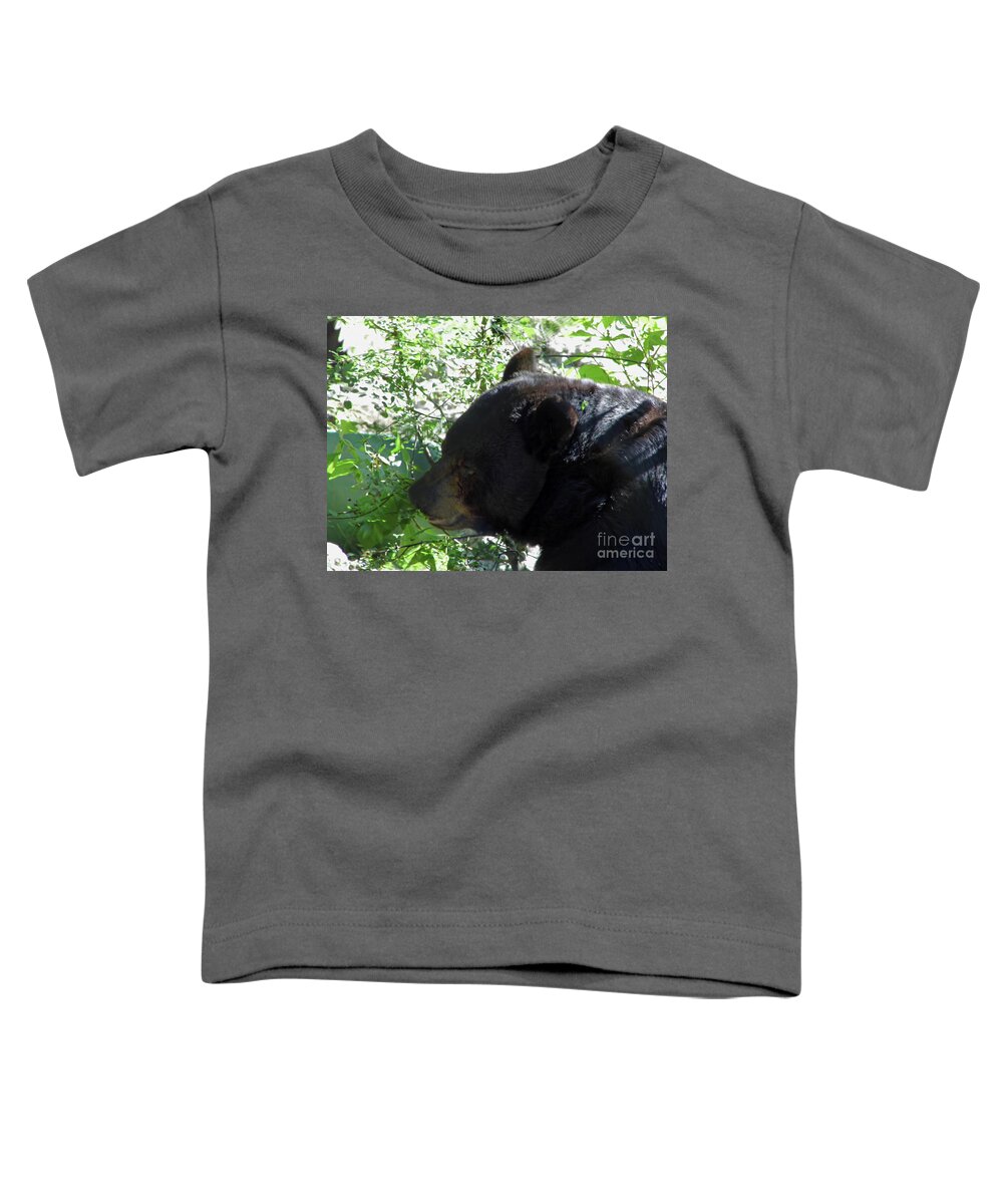 Bear Toddler T-Shirt featuring the photograph Black Bear Up Close by D Hackett