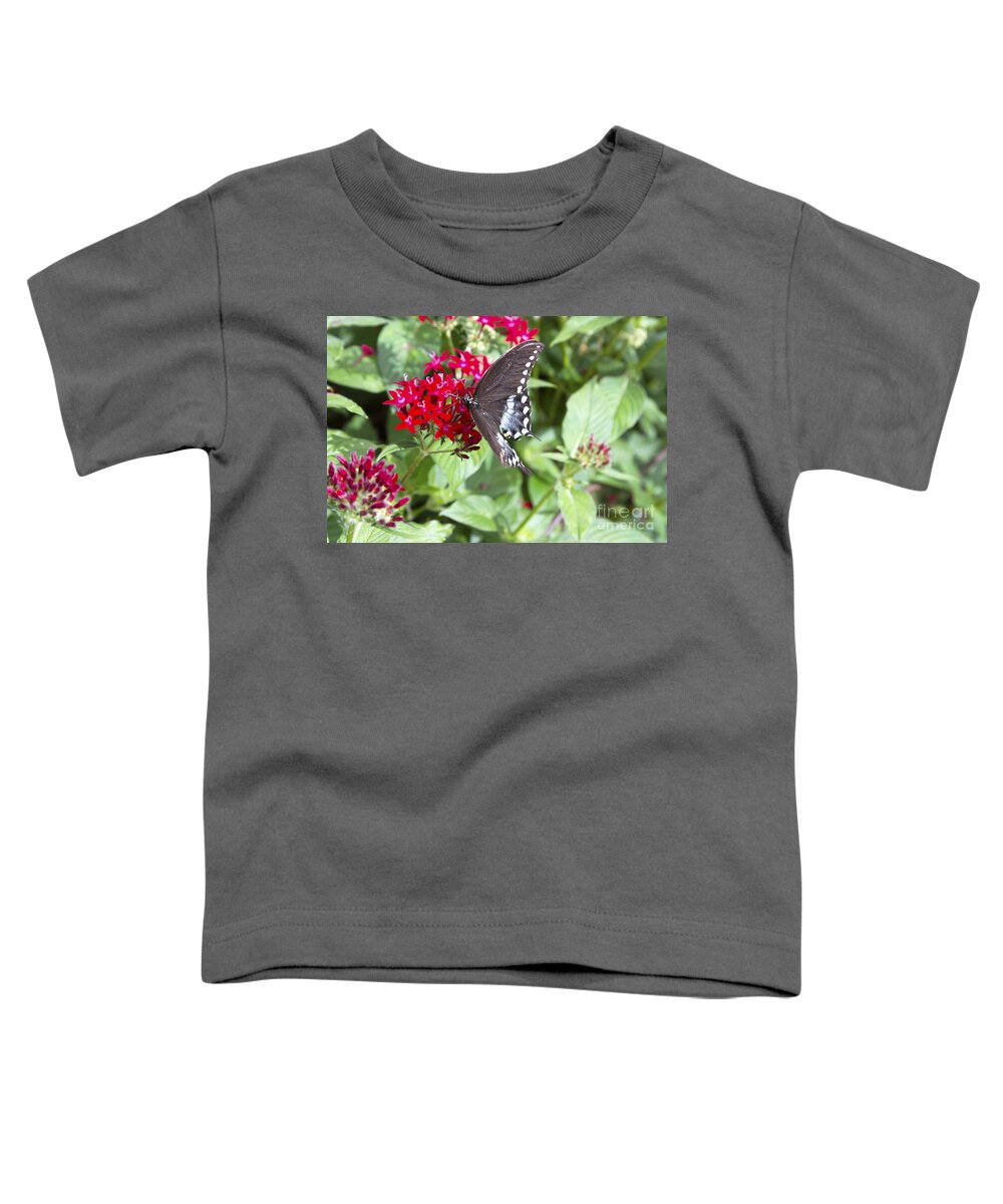 Butterfly Toddler T-Shirt featuring the photograph Black Butterfly Feeding on Red Flower by Karen Foley