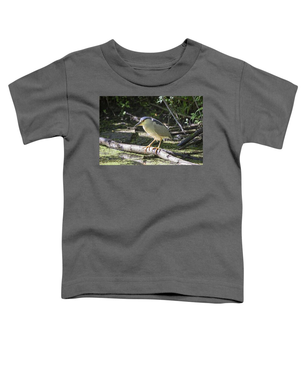 Heron Toddler T-Shirt featuring the photograph Black-crowned Night Heron by Eunice Gibb