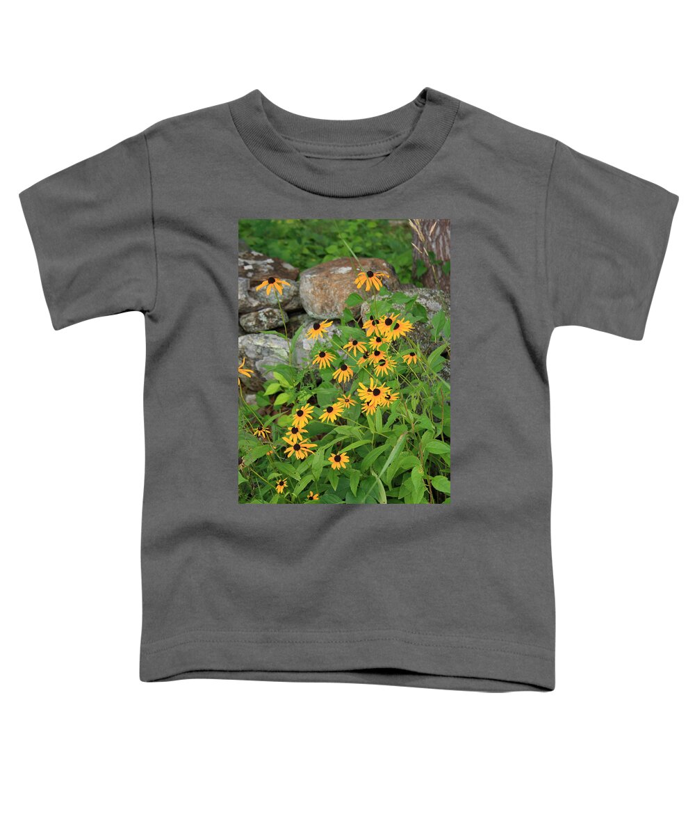 Landscape Toddler T-Shirt featuring the photograph Black Eyed Susan by Doug Mills
