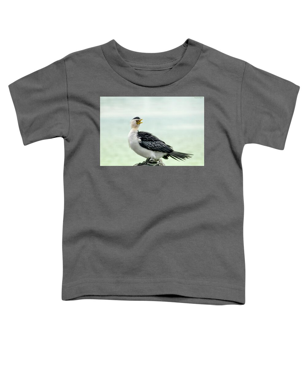 Black Faced Cormorant Toddler T-Shirt featuring the photograph black faced Cormorant 02 by Kevin Chippindall