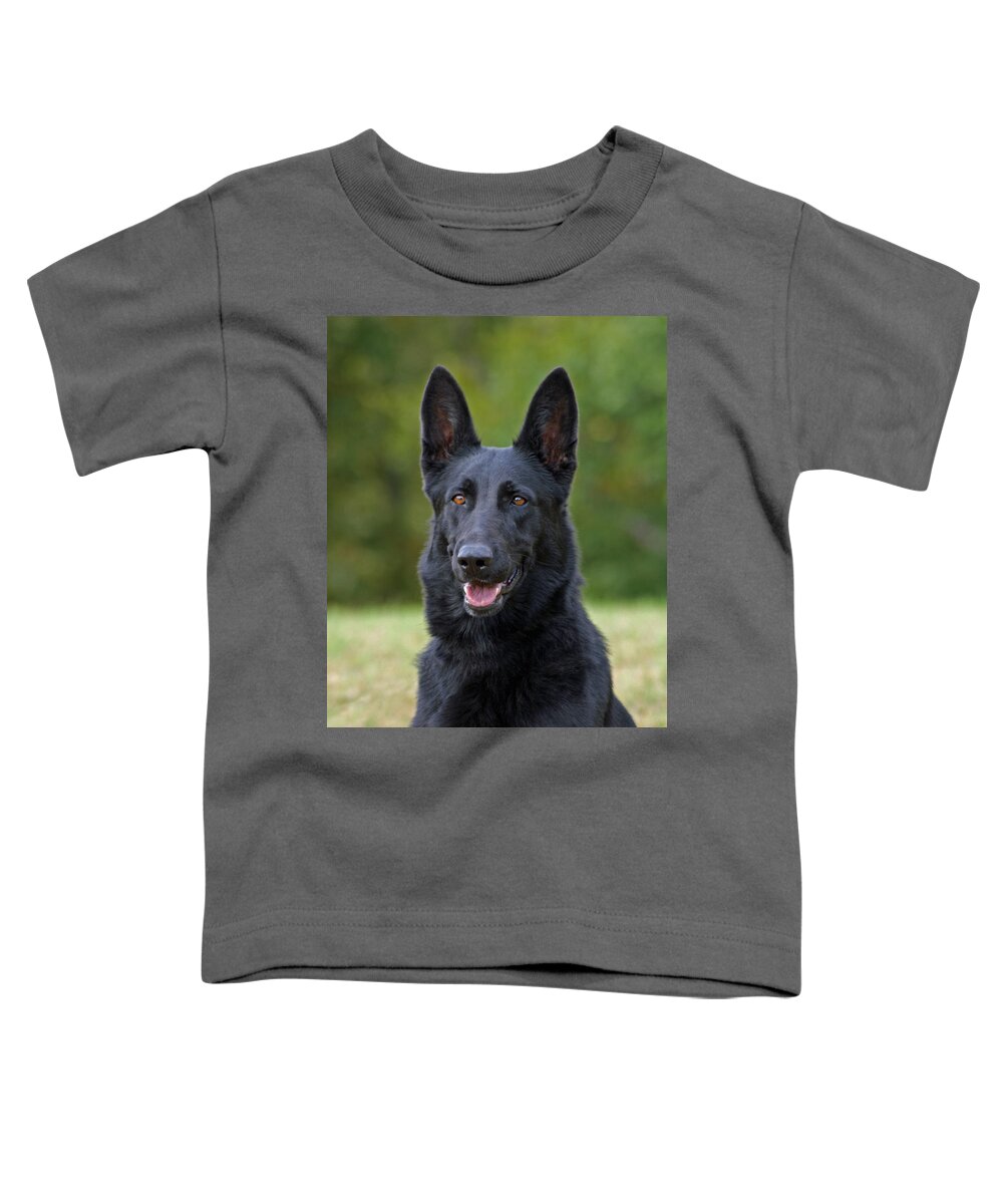 German Shepherd Toddler T-Shirt featuring the photograph Black German Shepherd Dog by Sandy Keeton