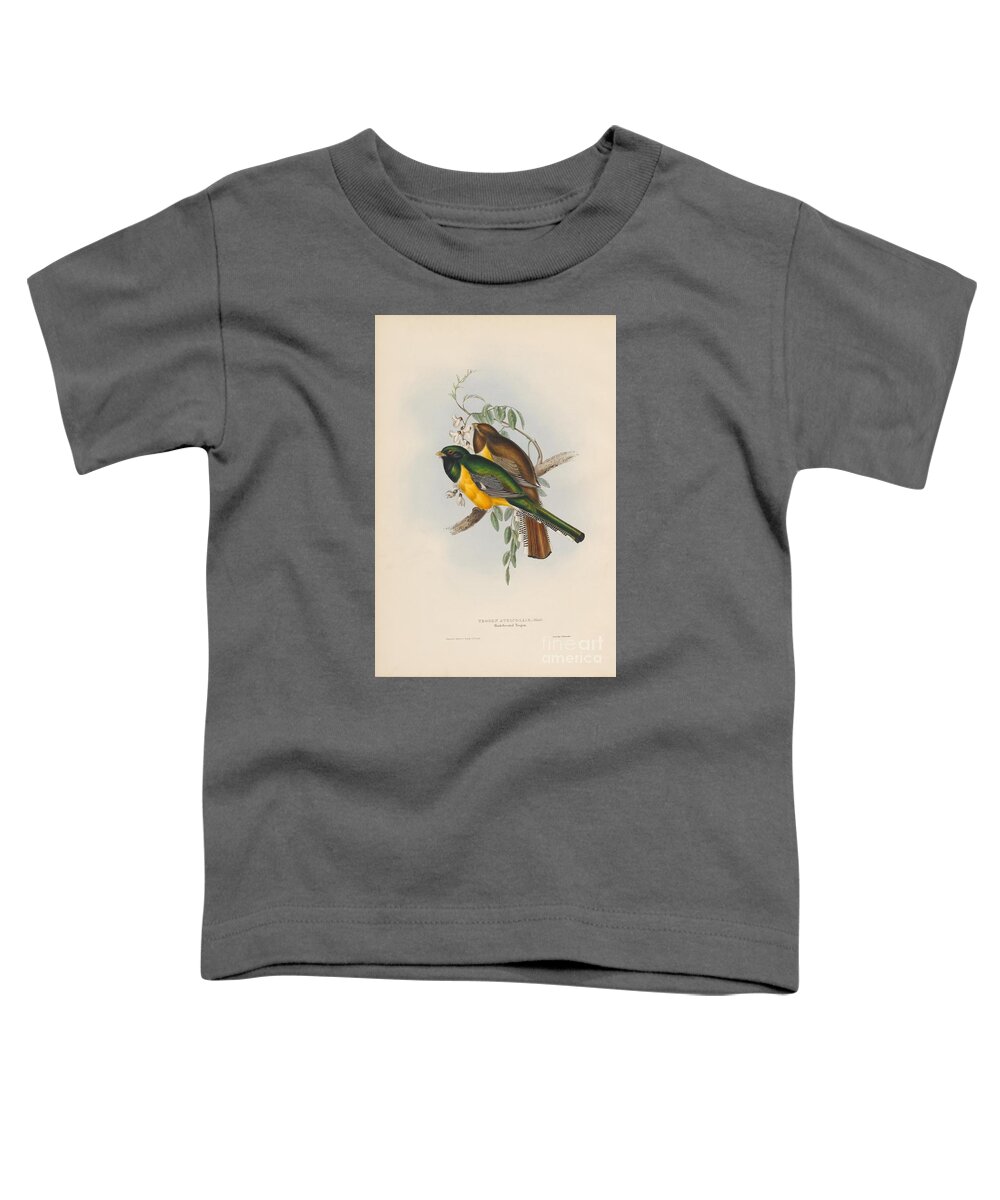 Trogon Atricollis Toddler T-Shirt featuring the painting Black-throated Trogon by Celestial Images