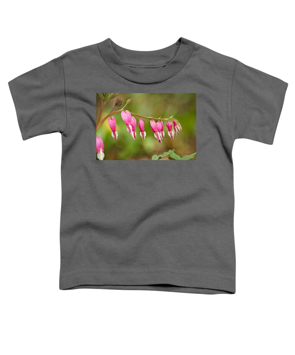Bleeding Hearts Toddler T-Shirt featuring the photograph Bleeding Hearts by Christina Rollo
