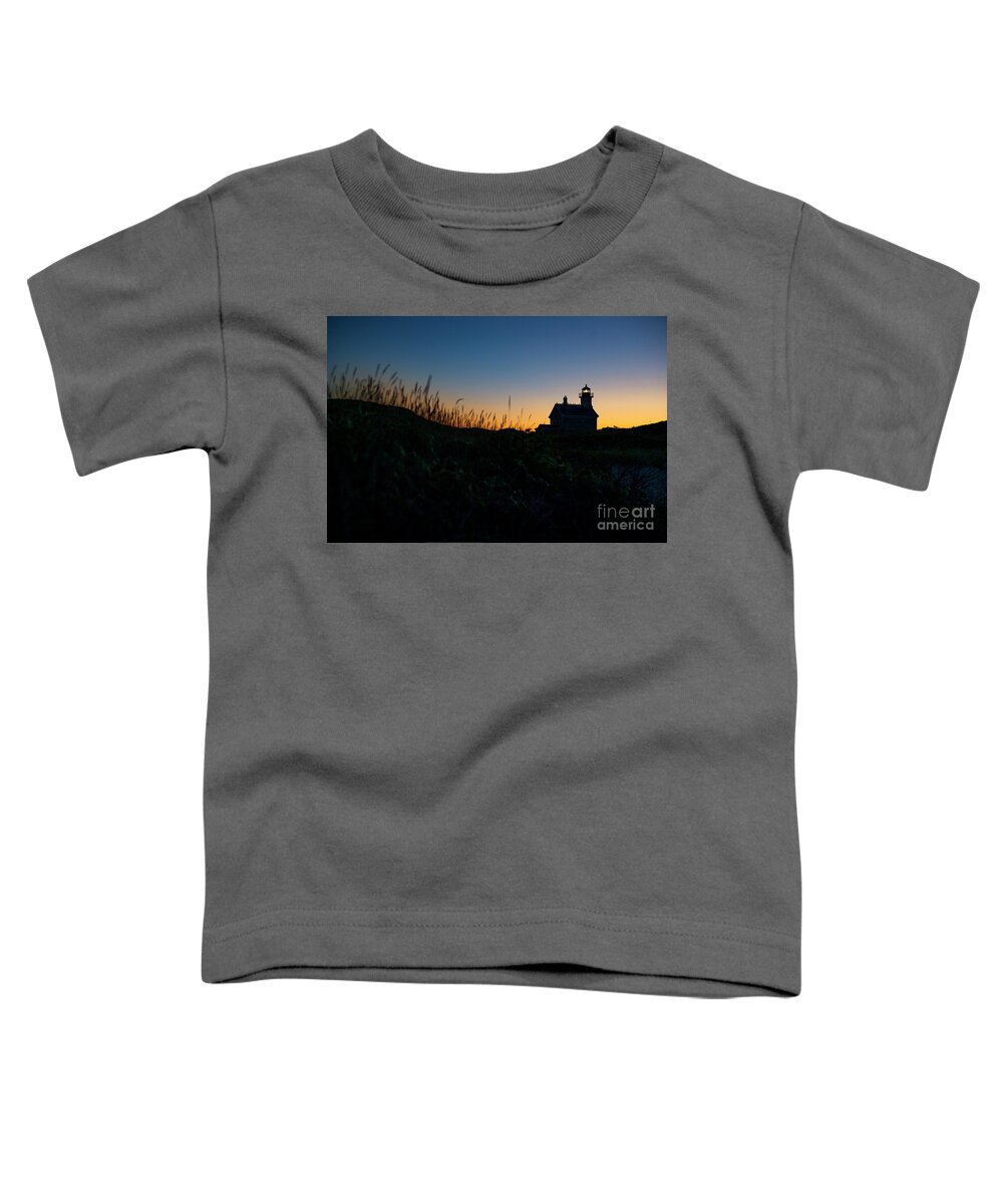 Lighthouse Toddler T-Shirt featuring the photograph Block Island North Light by Diane Diederich