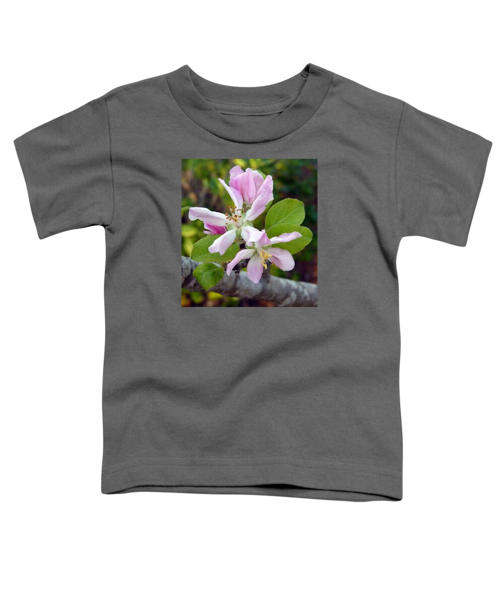 Pink Toddler T-Shirt featuring the photograph Blossom Duet by Carla Parris